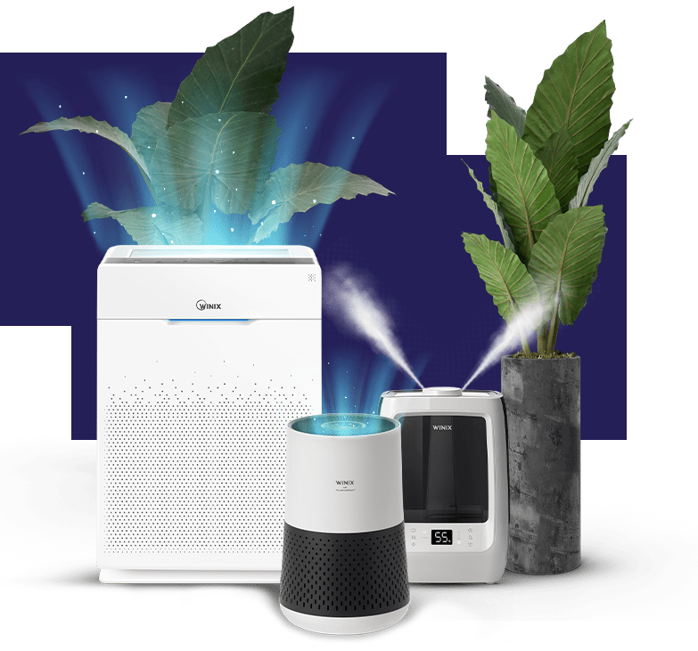 Collection WINIX Europe Air Purifiers and Humidifier