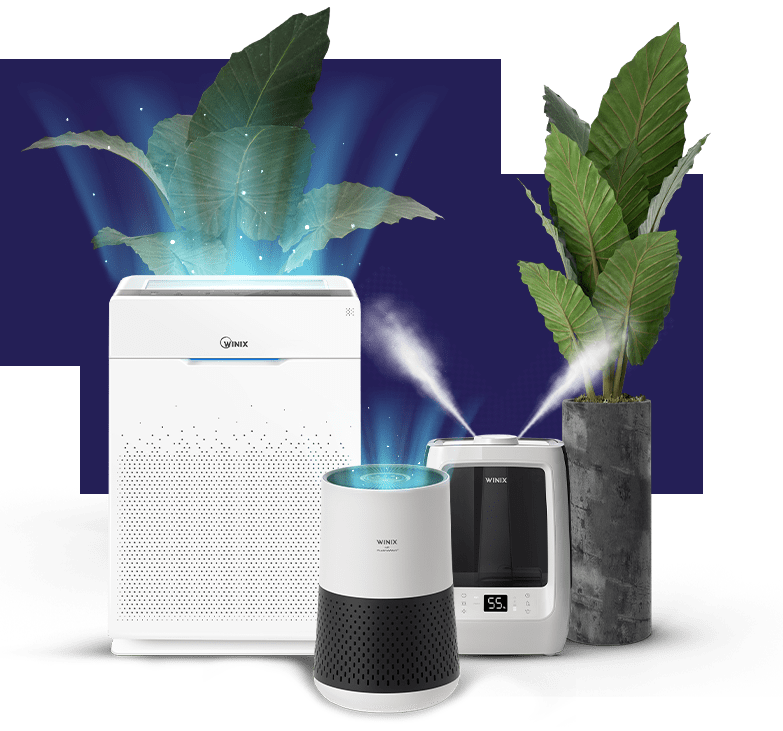 hepa-filter-air-purifiers-winix