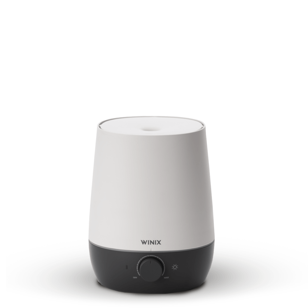 High Quality Air Purifiers WINIX Europe