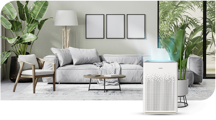 air-purifier-winix-hepa-filter