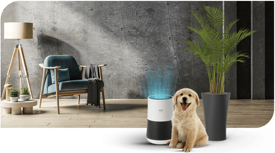 air-purifiers-winix