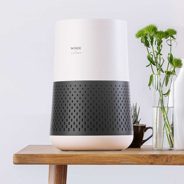 Air Purifier WINIX ZERO Compact Best