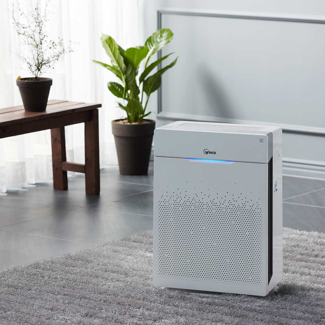 Air Purifier Zero pro in office at work