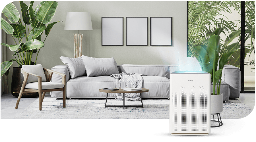 air purifier-winix-for home