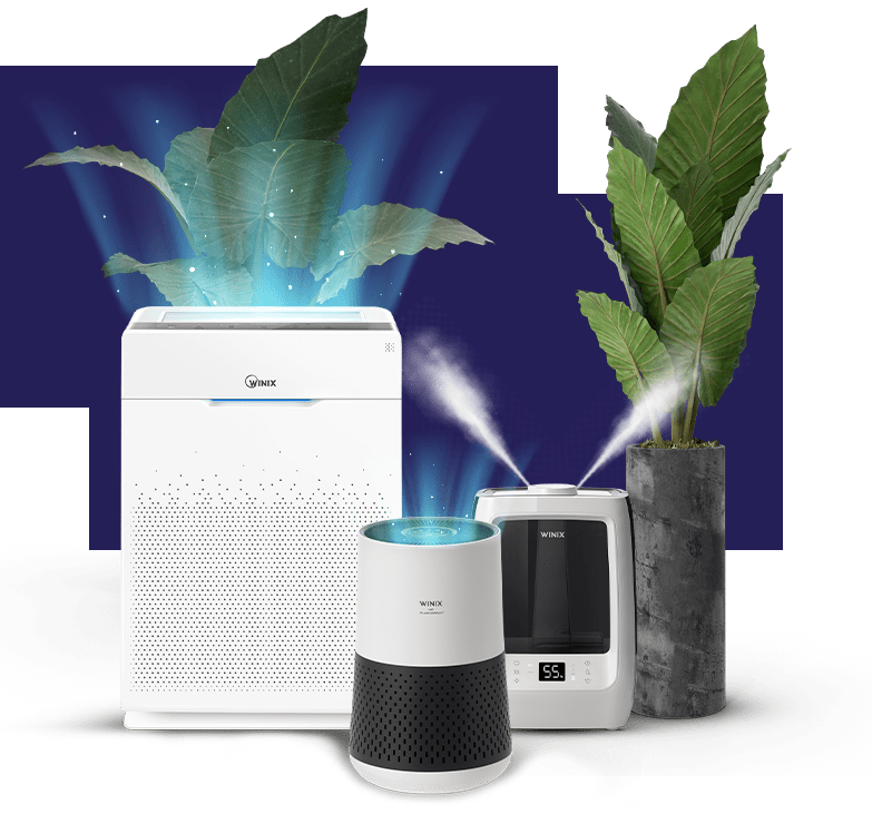 air purifier-winix-hepa-filter